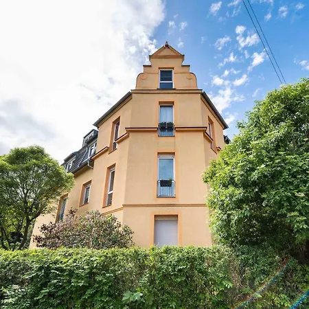 Apartment Zschachwitz - Frisch Renovierter Wohlfuehlort! Dresden Buitenkant foto