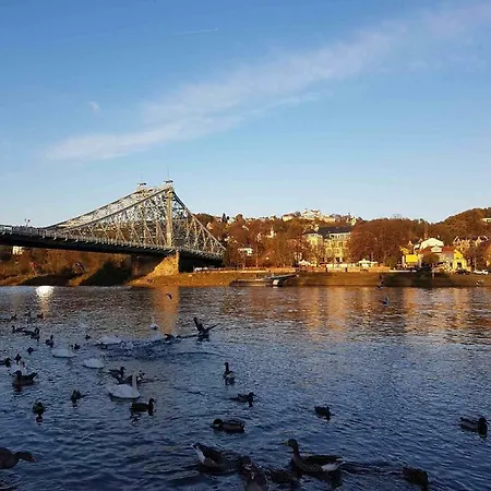 Apartment Zschachwitz - Frisch Renovierter Wohlfuehlort! Dresden Buitenkant foto